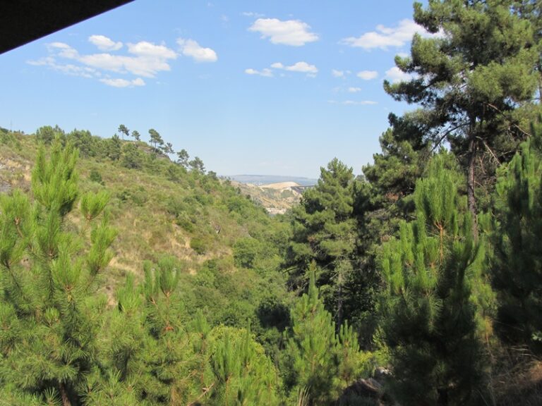 Bewaldete Hügellandschaft – Fotoalbum Portugal von AlchemieX