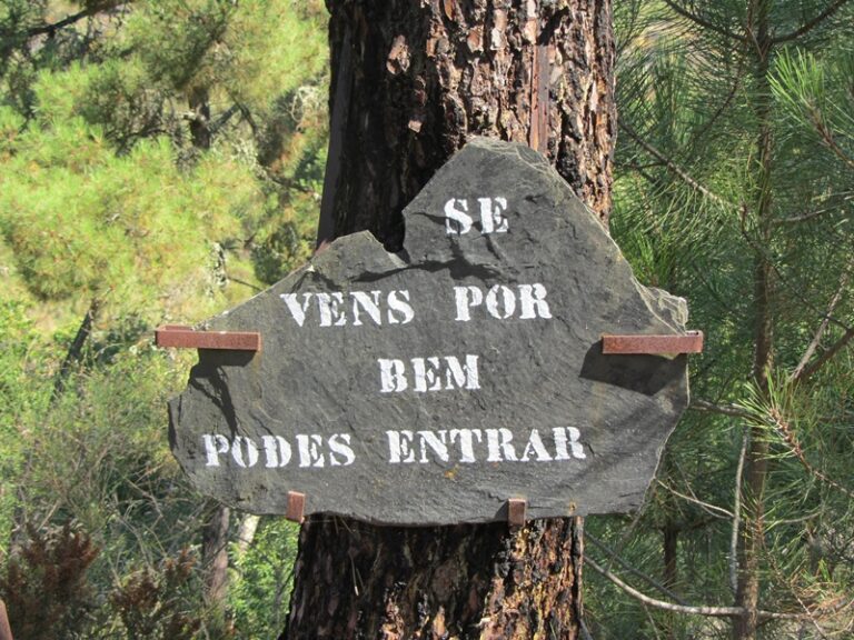 Schild an einem Baum – Fotoalbum Portugal von AlchemieX