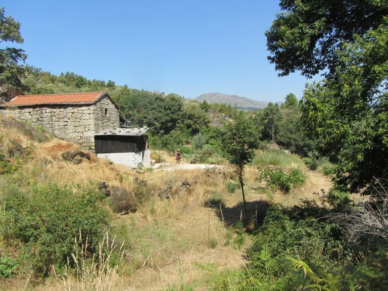 Haus zwischen Bäumen – Fotoalbum Portugal von AlchemieX