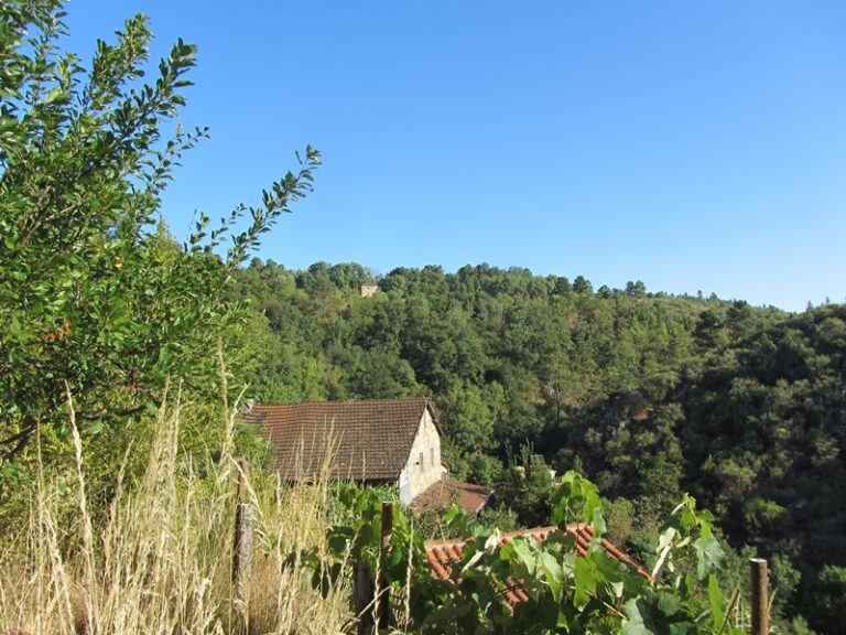 Garten und Hügellandschaft – Fotoalbum Portugal von AlchemieX