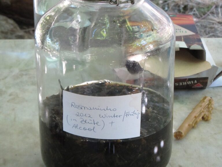 Ansatz in einem Glasgefäß – Fotoalbum Portugal von AlchemieX