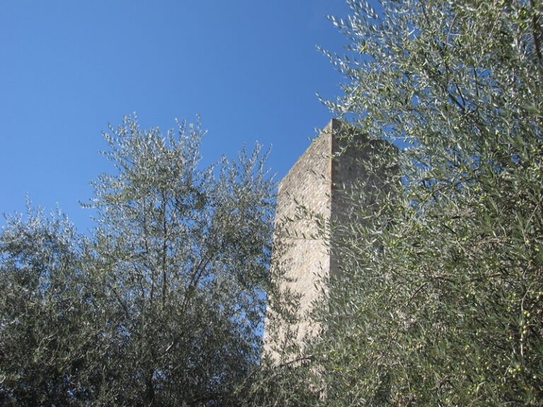 Steinmauer und Vegetation – Fotoalbum Urlaub von AlchemieX