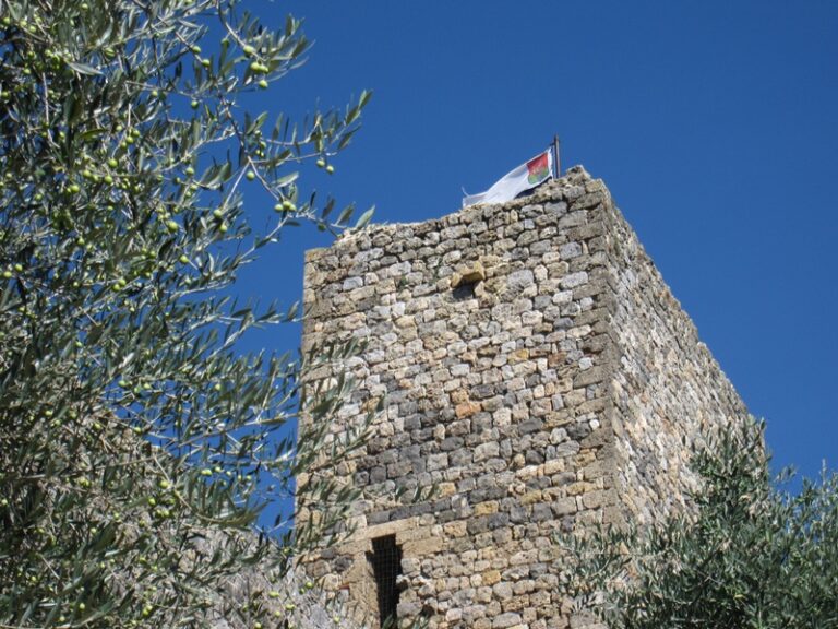 Turm hinter Olivenzweigen – Fotoalbum Urlaub von AlchemieX