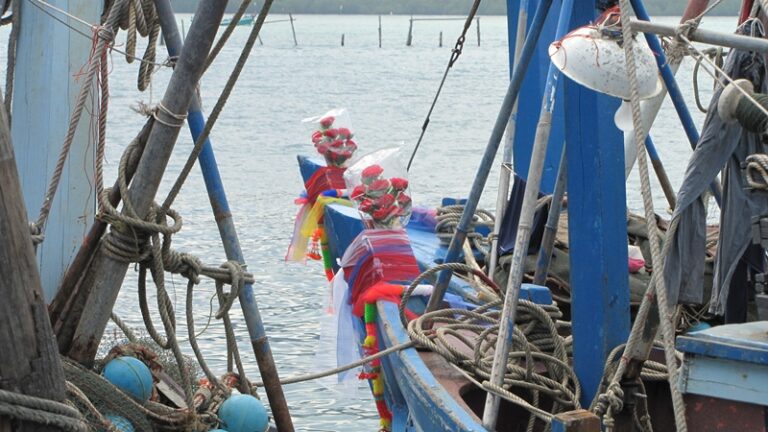 Arbeit an Bord – Fotoalbum Urlaub von AlchemieX