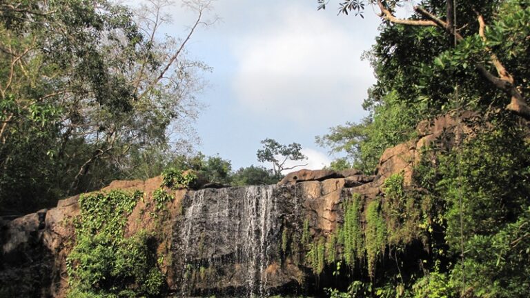 Wasserfall hinter Bäumen – Fotoalbum Urlaub von AlchemieX