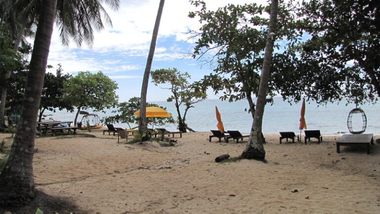 Strand mit Bäumen – Fotoalbum Urlaub von AlchemieX