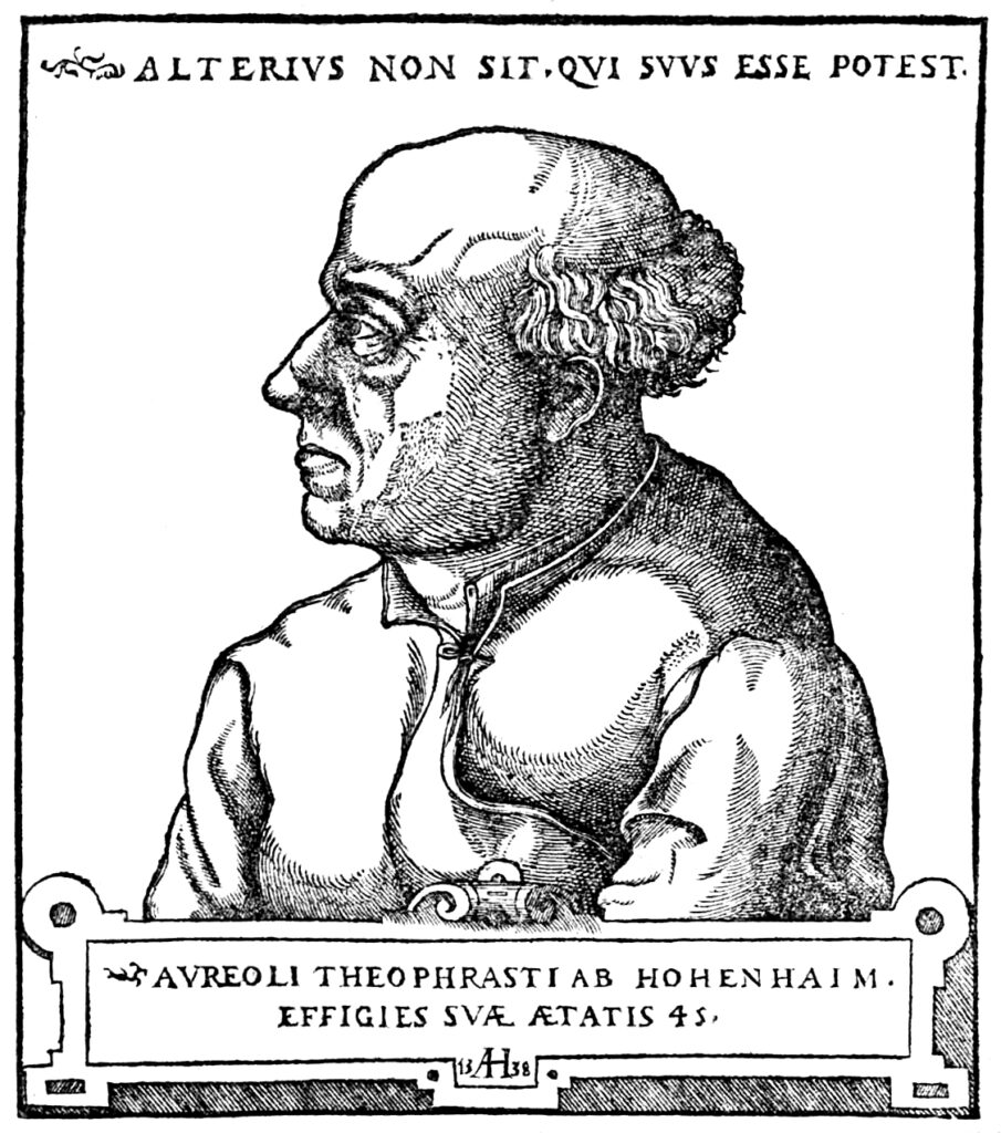 Historisches Porträt von Paracelsus, Augustin Hirschvogel, 1538